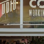 Co-working Spaces - Houseplants Standing in the Window of a Co-working Space